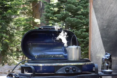 DSC_3567 (Large).JPG